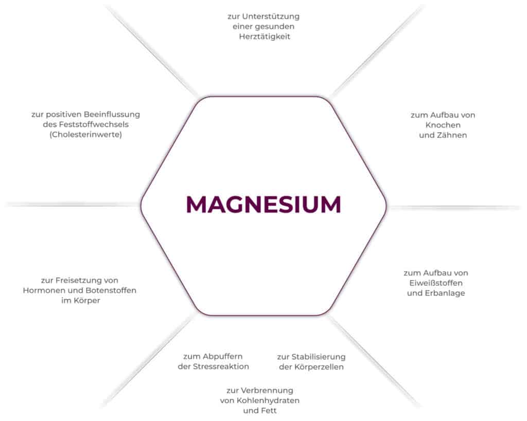 Wirkung: Welche Funktionen erfüllt Magnesium?