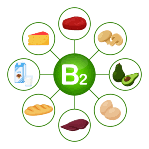 Lebensmittel mit viel Vitamin B2