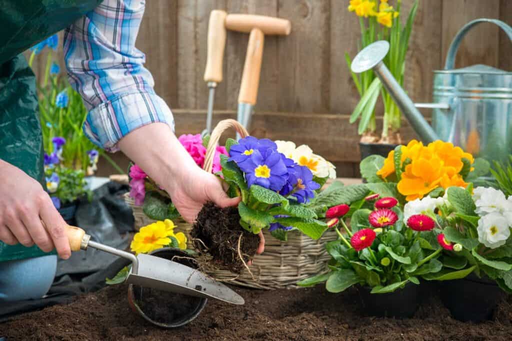Pünktlich zum Frühling: Gartenarbeit als Fitnesstraining