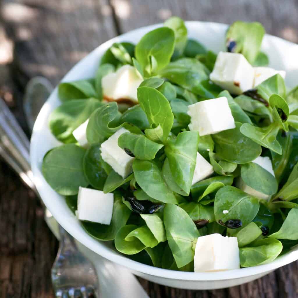Gesundes Frühlingsgemüse: Feldsalat