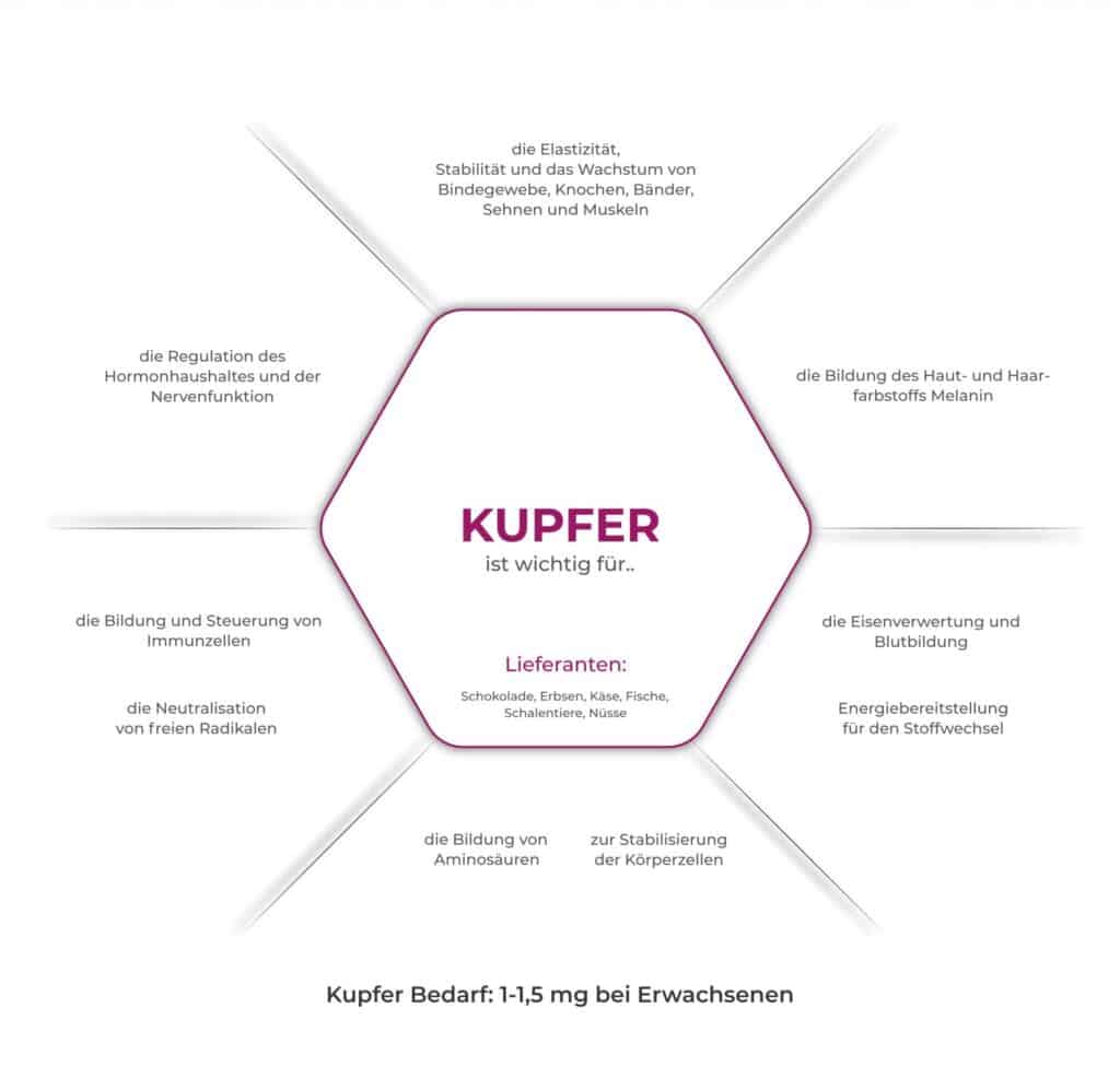 Infografik Kupfer: Lieferanten & Bedarf